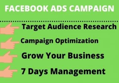 I will set up an advanced Facebook ads campaign for high sales
