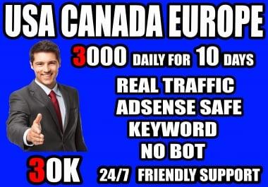 I will drive organic keyword target web traffic