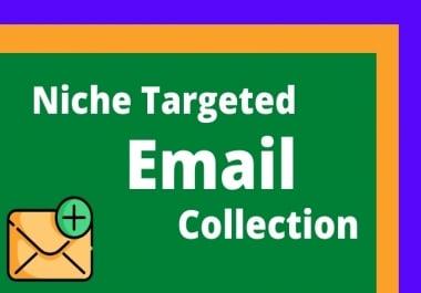 I will do niche targeted email list,  email collection,  email scrape