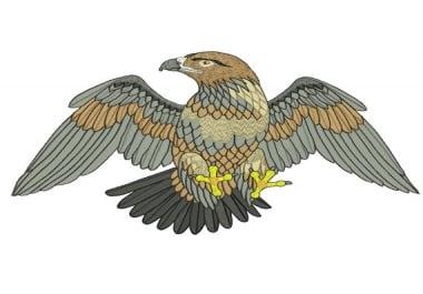 I will do awesome embroidery digitizing in 48 hours