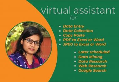 I will be your virtual assistant for any type of Microsoft Word and Excel