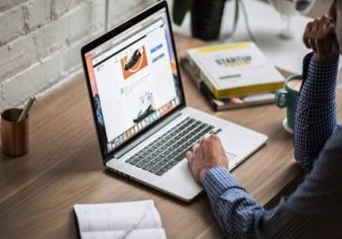 I will do data entry,  web research,  all languages translation in 24hrs