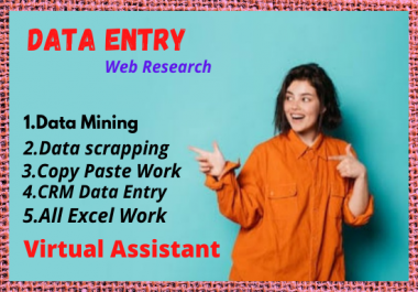 I will do data entry,  data collection and any type of excel works.
