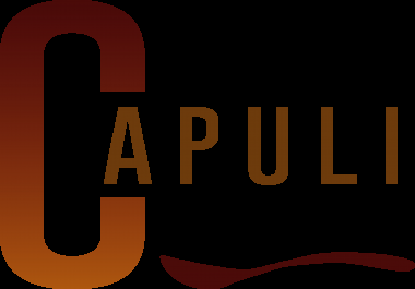 I will do the best minimalist logo for you