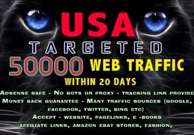 i will drive 50000+ visitors to your website within 20days