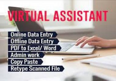 I will do professional Virtual Assistant,  Web Research,  Typing,  Data Entry