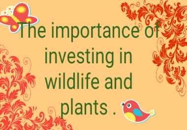 500 word aboud the importance of wilslife