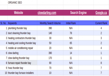 I will offer professional search engine marketing report,  competitor website audit,  evaluation