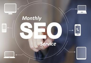 I Will Create Monthly Off- Page SEO Service and Manual High Quality Backlinks