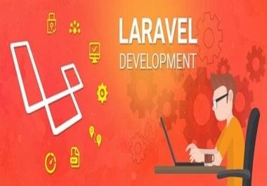 I will developp a website using laravel