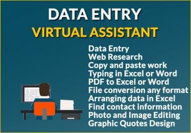 Any kind of data entry work and your virtual assistant