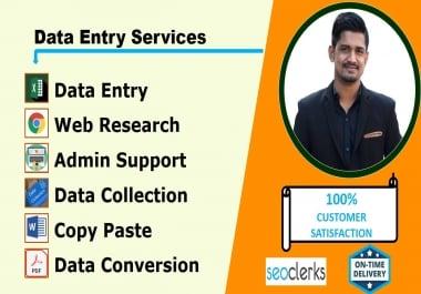 I will do perfect data entry,  copy paste and web research