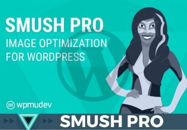 I will install Smush Pro plugin on your Wordpress Website