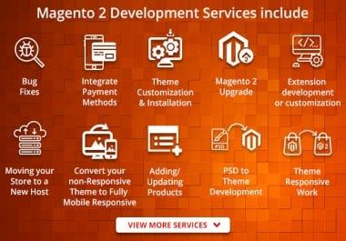 I will do work on magento 2 ecommerce store