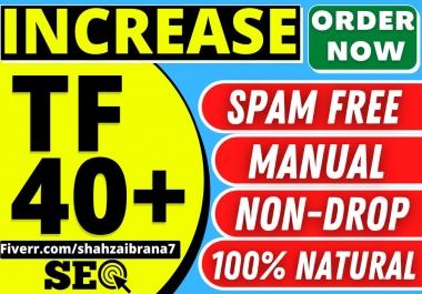 I will increase the trust flow tf 40 plus