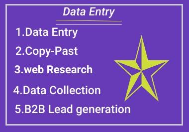 I Will Do Perfect Data Entry, copy past And First typing work 1 Page