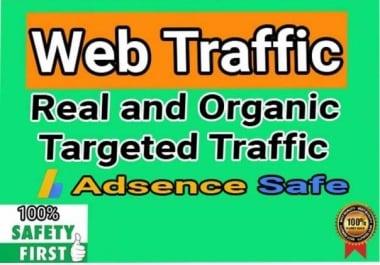 I will provide 150,000+ real or organic and targeted web traffic 4000 to 5000 visitors daily for 30d