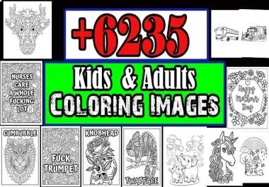 I will provide 6235 kids and adults coloring images jpeg png format sell on KDP