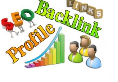 I will create 30 high quality SEO profile backlinks