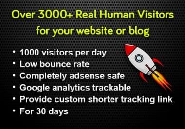 I provide 30000+ real human traffic for 30 days