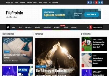 Guest Blog Post at FileProInfo. com DA-55 DR-40 Traffic 35k+/m