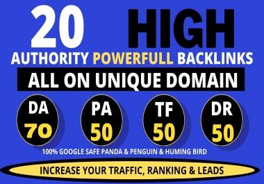 I will do 20+ Permanent DA 50 to 70 Dofollow Homepage PBN Backlinks service