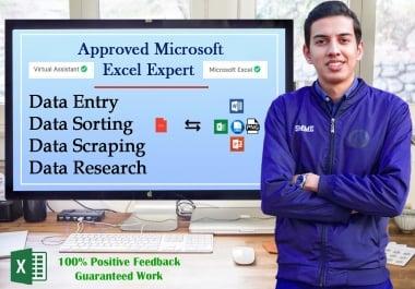 I will be your virtual assistant for data entry,  data sorting jobs