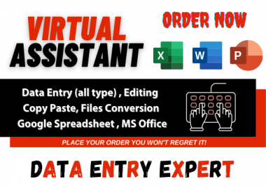 I will be your virtual assistant for all type data entry work