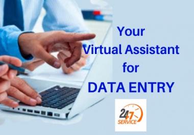 I will be your Professional Data Entry Operator
