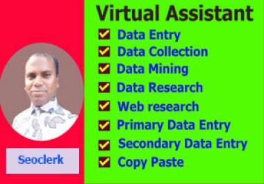 I will do data entry work within 24 Hours