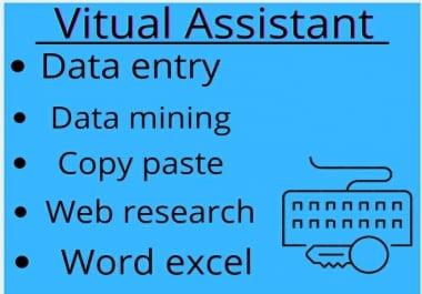 I will Do excel data entry, data mining, copy paste, web, form filling