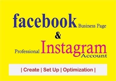 I will set up your Facebook Business Page and Professional Instagram Acc.