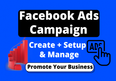 I will run your Facebook ads campaign