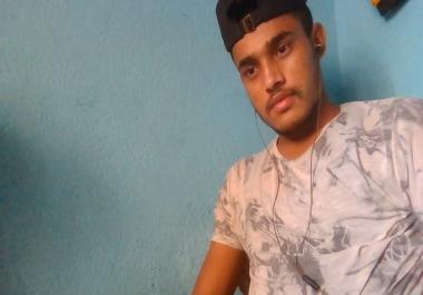 I can do data entry jobs and be your virtual assistant