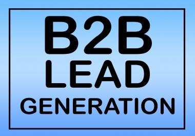 I will provide B2B lead generation,  collect business leads and email list building