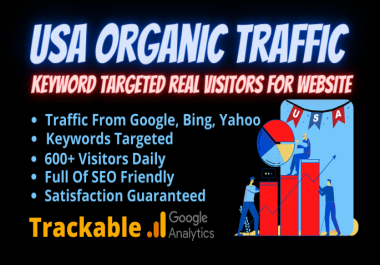 USA organic traffic keyword targeted real visitors for website