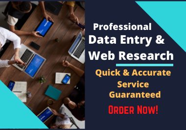 I will do accurate data entry,  web research,  copy-paste job by using Excel and MS Word