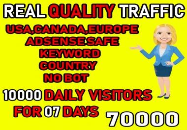 I will Drive USA Organic traffic with target keyword