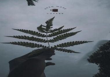 Picturesque editography retouching and background removalist