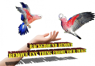 remove background and remove anything in image