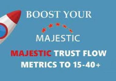 we will Increase your website TF35-40+ with money Refund guarantee SEO Service