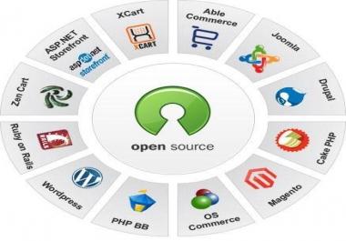 setup magento theme and extensions