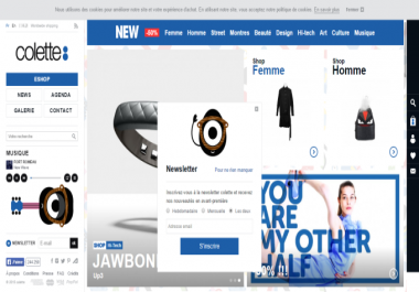 build and develop your ecommerce website