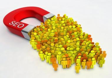 50000+ Real Human Unique USA targeted web traffic for