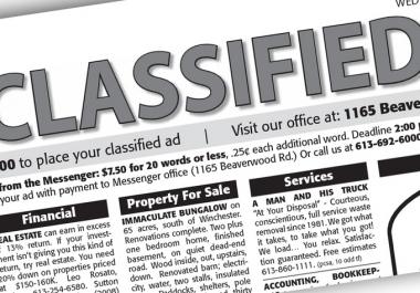 blast your ads to more than 3700 classified ad sites plus free bonus