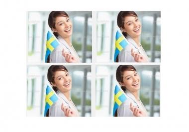 500 Words English to Swedish Translation