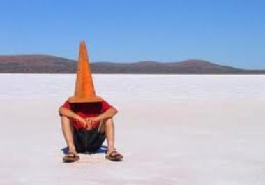 I will write a professional style press release,  for any product,  service,  or industry