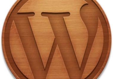 I will solve your Wordpress blogs css, html and other wordpress issues