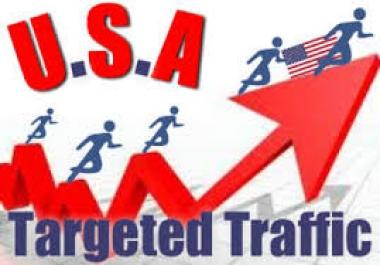 build 9999 daily USA organic visitors from google