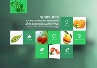 I'll give you Shopify,  Wordpress,  Woocommerce Premium Template